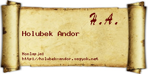 Holubek Andor névjegykártya
